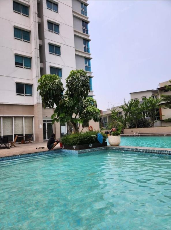 Spring Hill Apartment